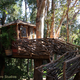 Illustration for article titled Bellavista's Biodigesting Treehouses Are Endor on Earth